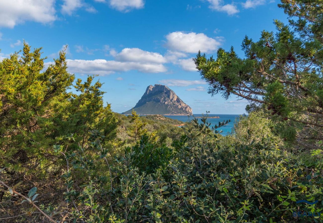 Villa a Porto San Paolo - Villa Nuraghe - By Searly 