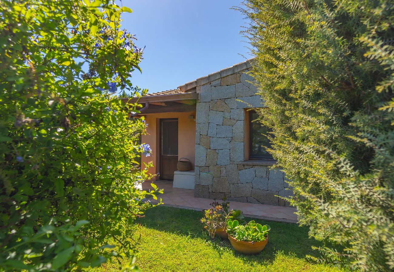 Villa a San Teodoro - Villa Molara Home - By Searly 