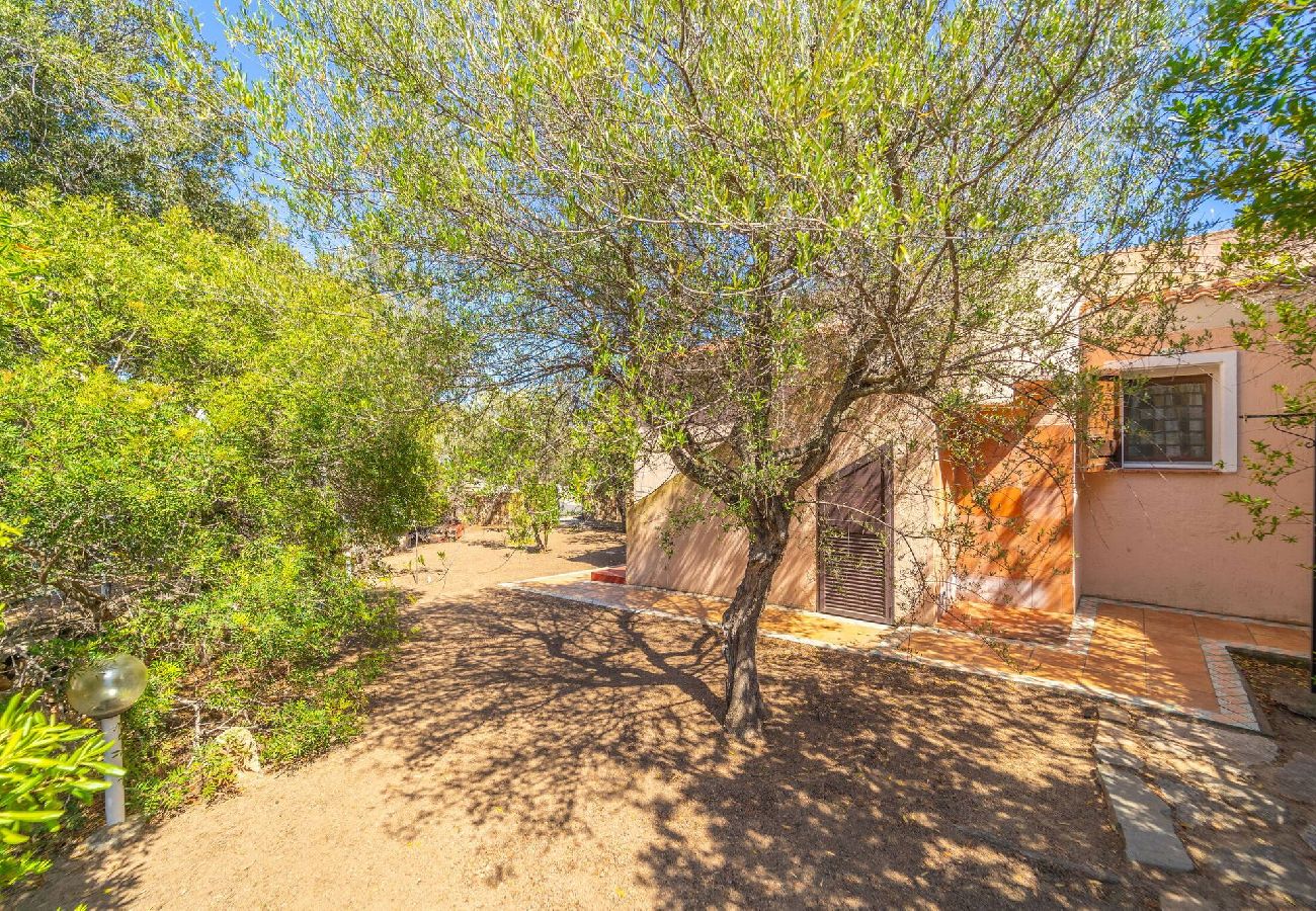 Villa a Lu Fraili - Villetta Dante - By Searly 