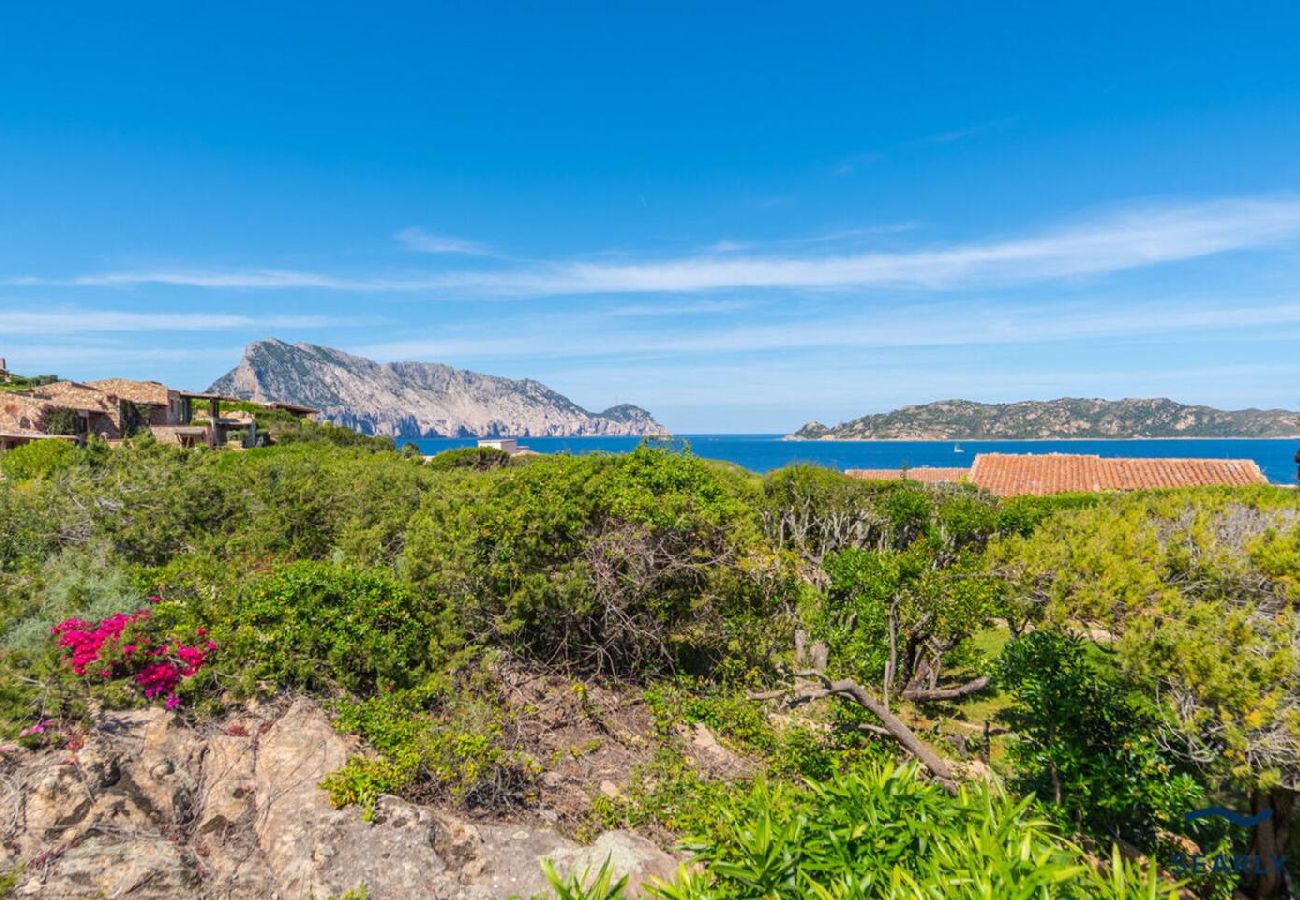 Villa a San Teodoro - Villa Fiordispina - By Searly 