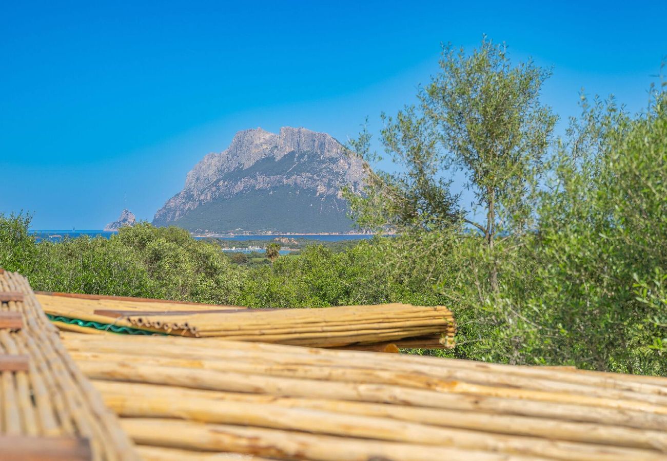 Villa a Porto San Paolo - D&V Luxury Villa - con piscina riscaldata - By Searly 