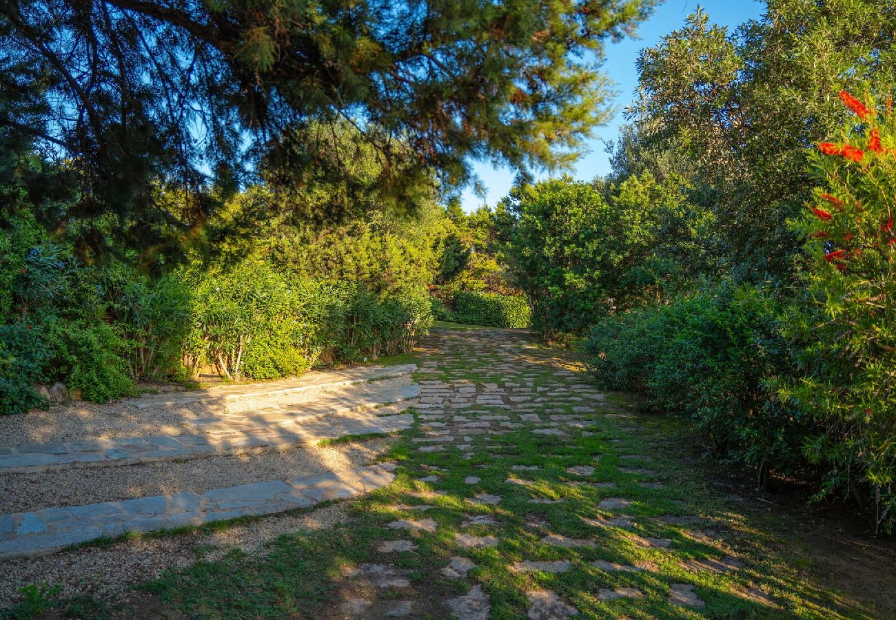 Villa a Porto Cervo - Villa Il Varo - By Searly 