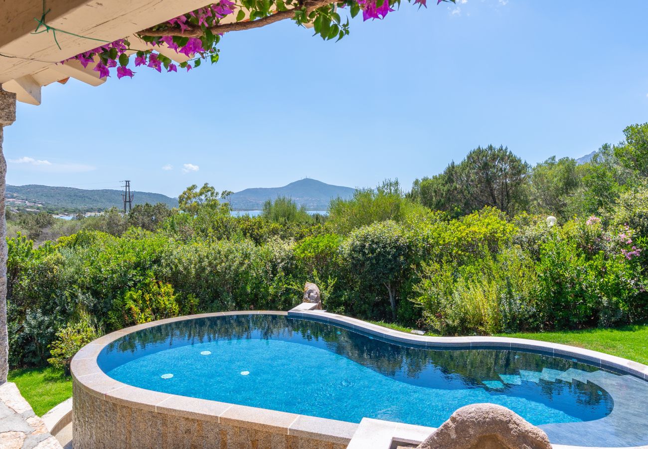 Villa a Porto Rotondo - Villa Alfa con Piscina Privata