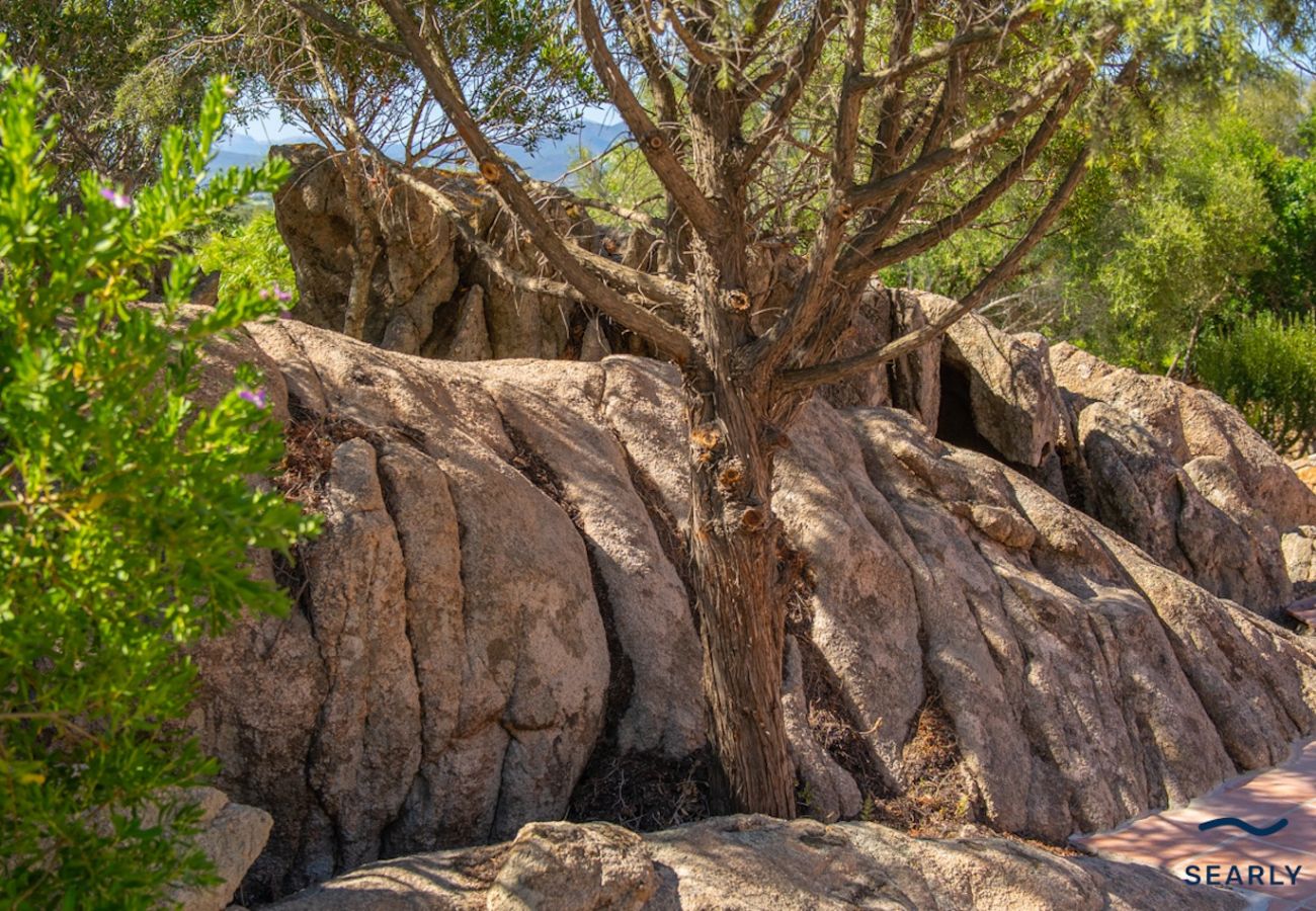 Villa a San Teodoro - Villa San Teodoro - By Searly