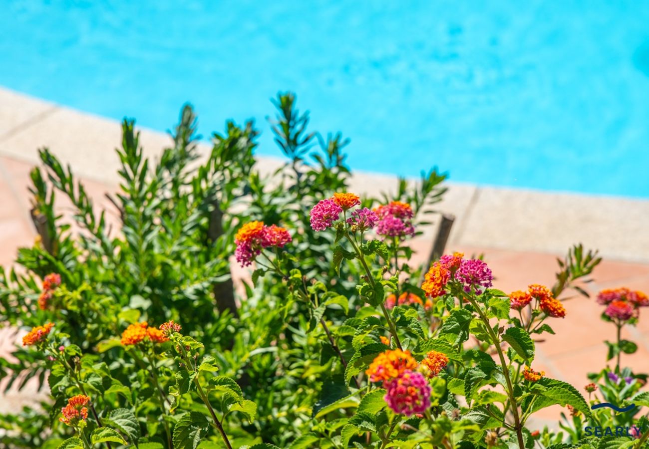 Villa a San Teodoro - Villa San Teodoro - By Searly