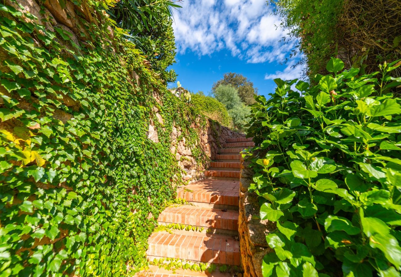 Villa a Porto Cervo - Villa Pevero Golf