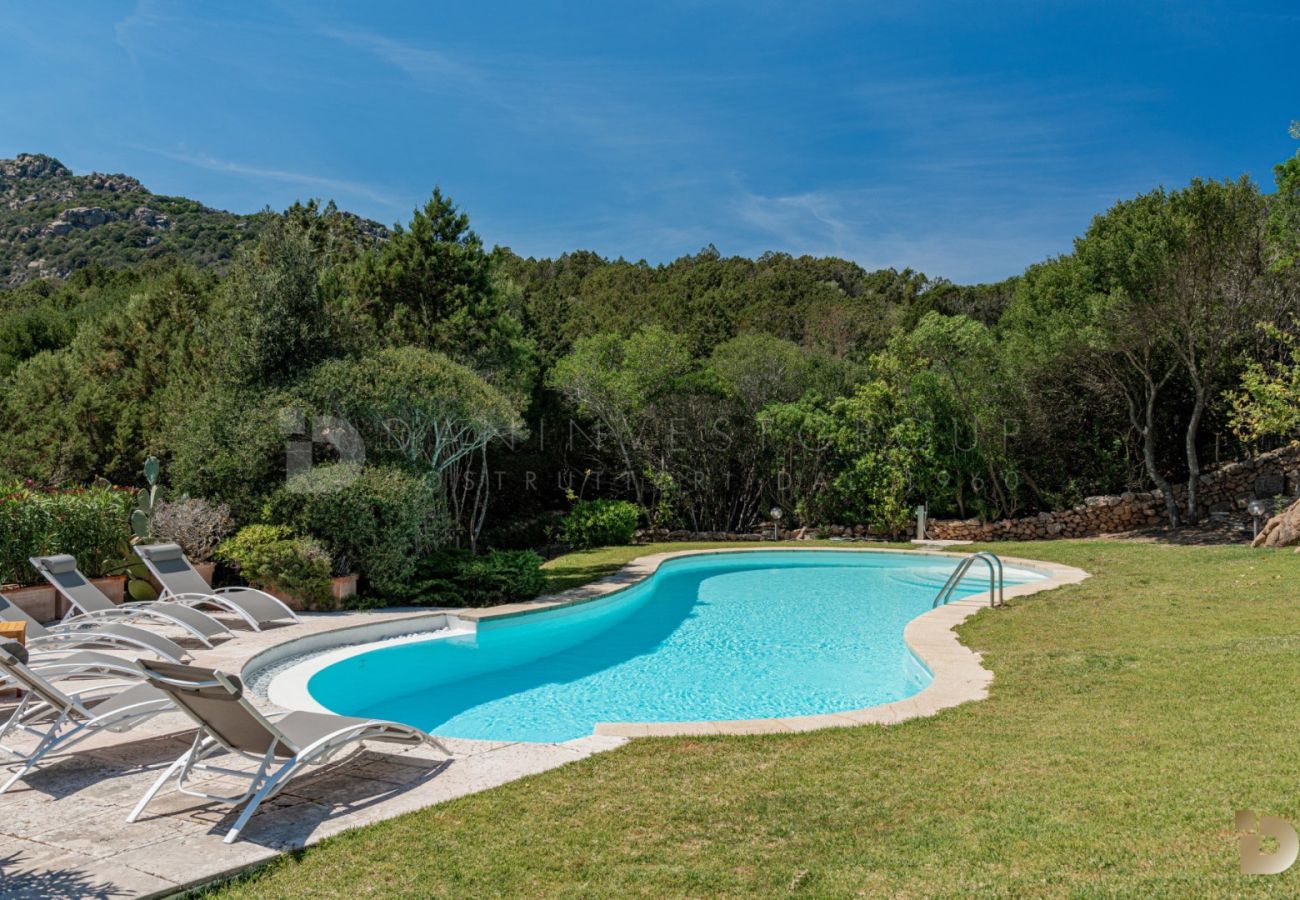 Villa a Porto Cervo - Villa Auria LVD