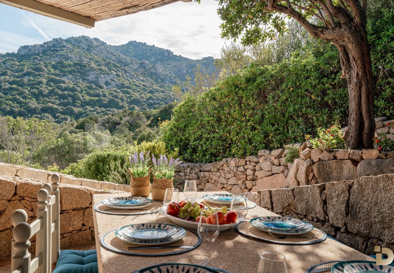 Villa a Porto Cervo - Villa Auria LVD