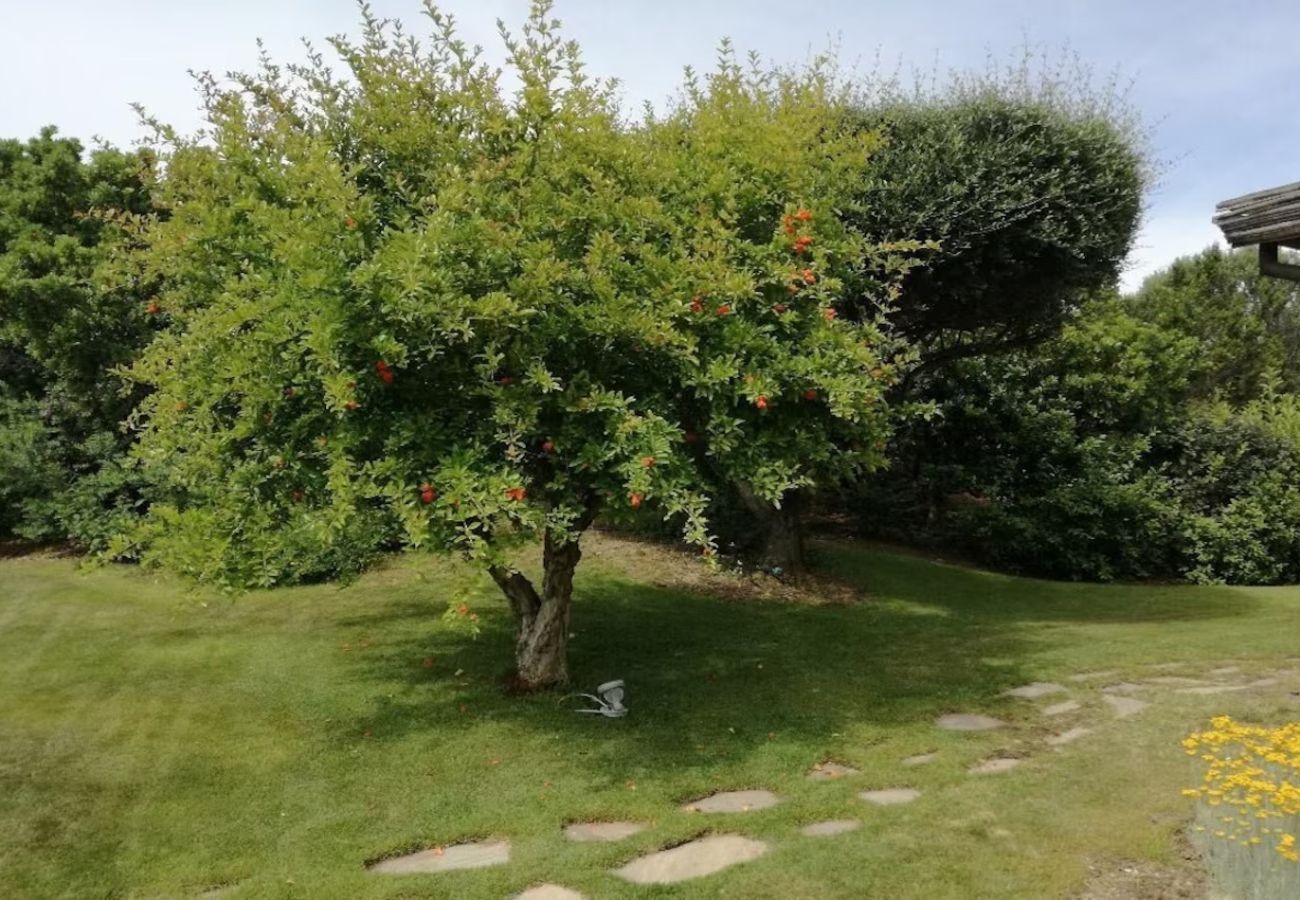 Villetta a San Teodoro - Villa Lilly 1