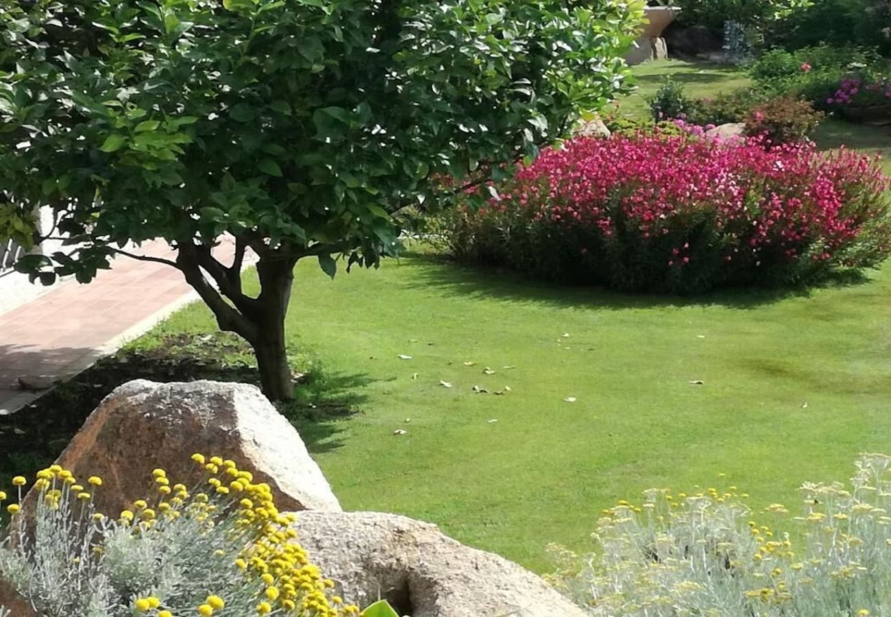 Villetta a San Teodoro - Villa Lilly 1