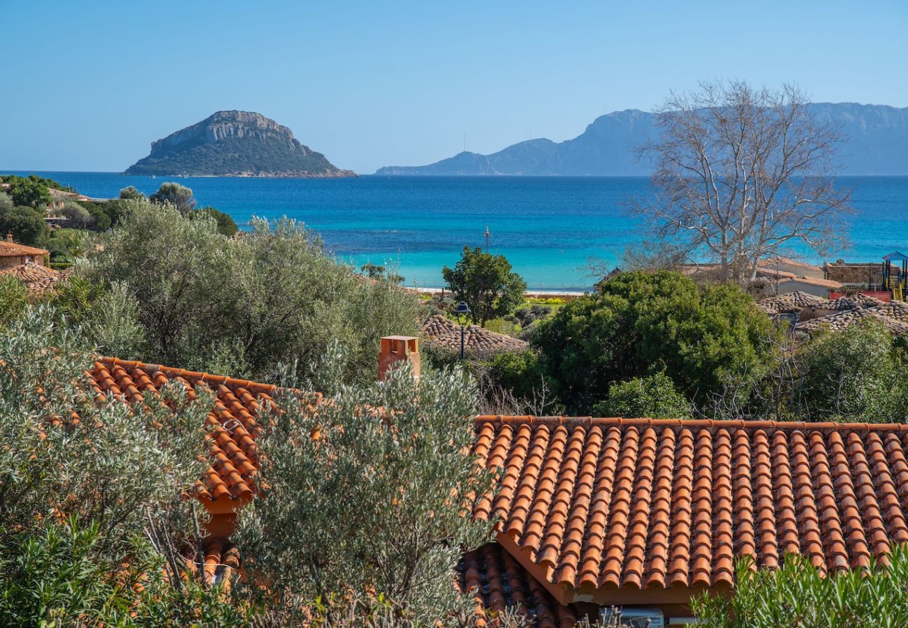 Villa a Golfo Aranci - Villa La Dolce Vita