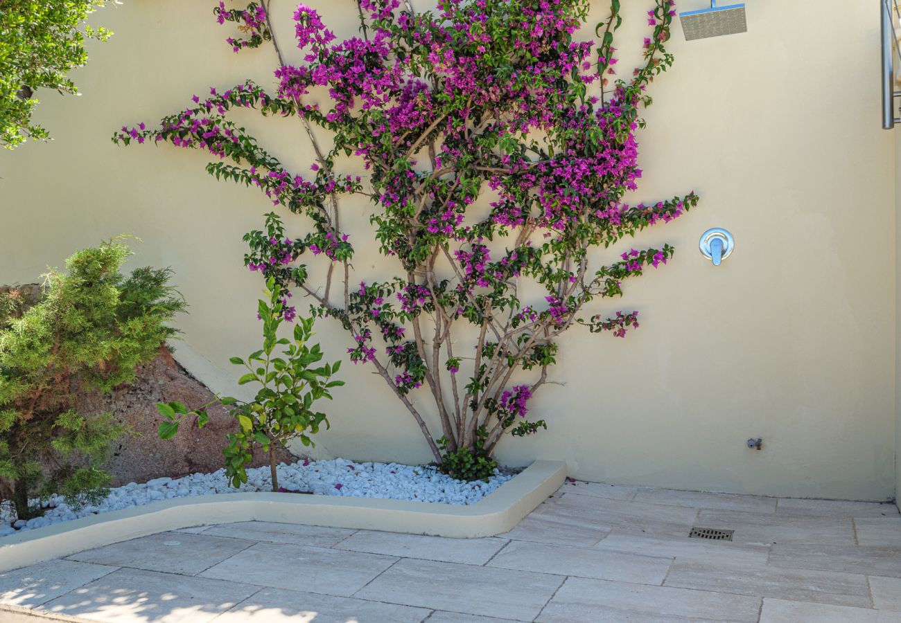 Villa a Arzachena - Villa Purple