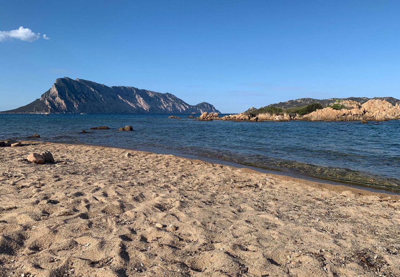 Villetta a San Teodoro - Villa Su Cuile