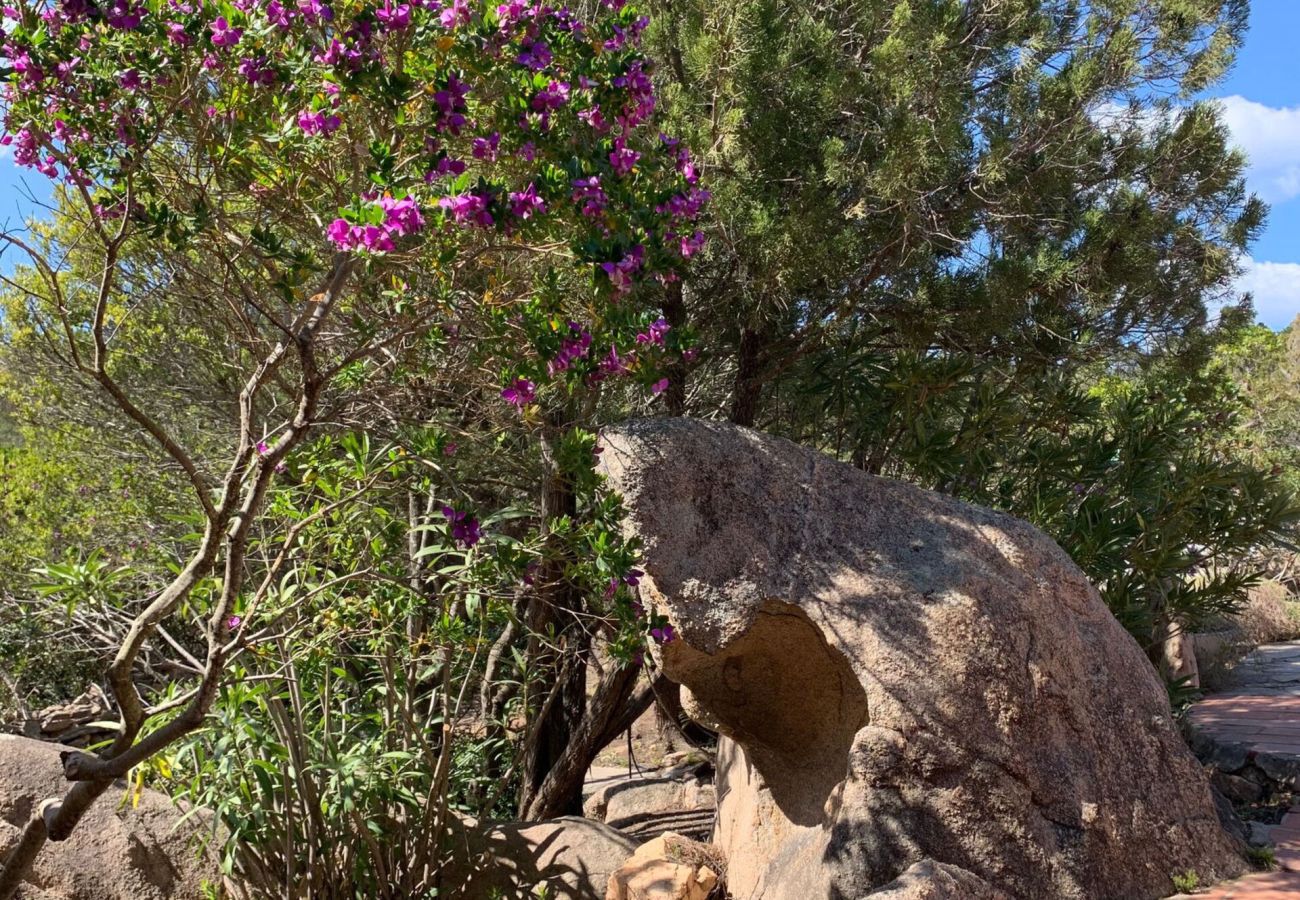 Villetta a San Teodoro - Villa Su Cuile