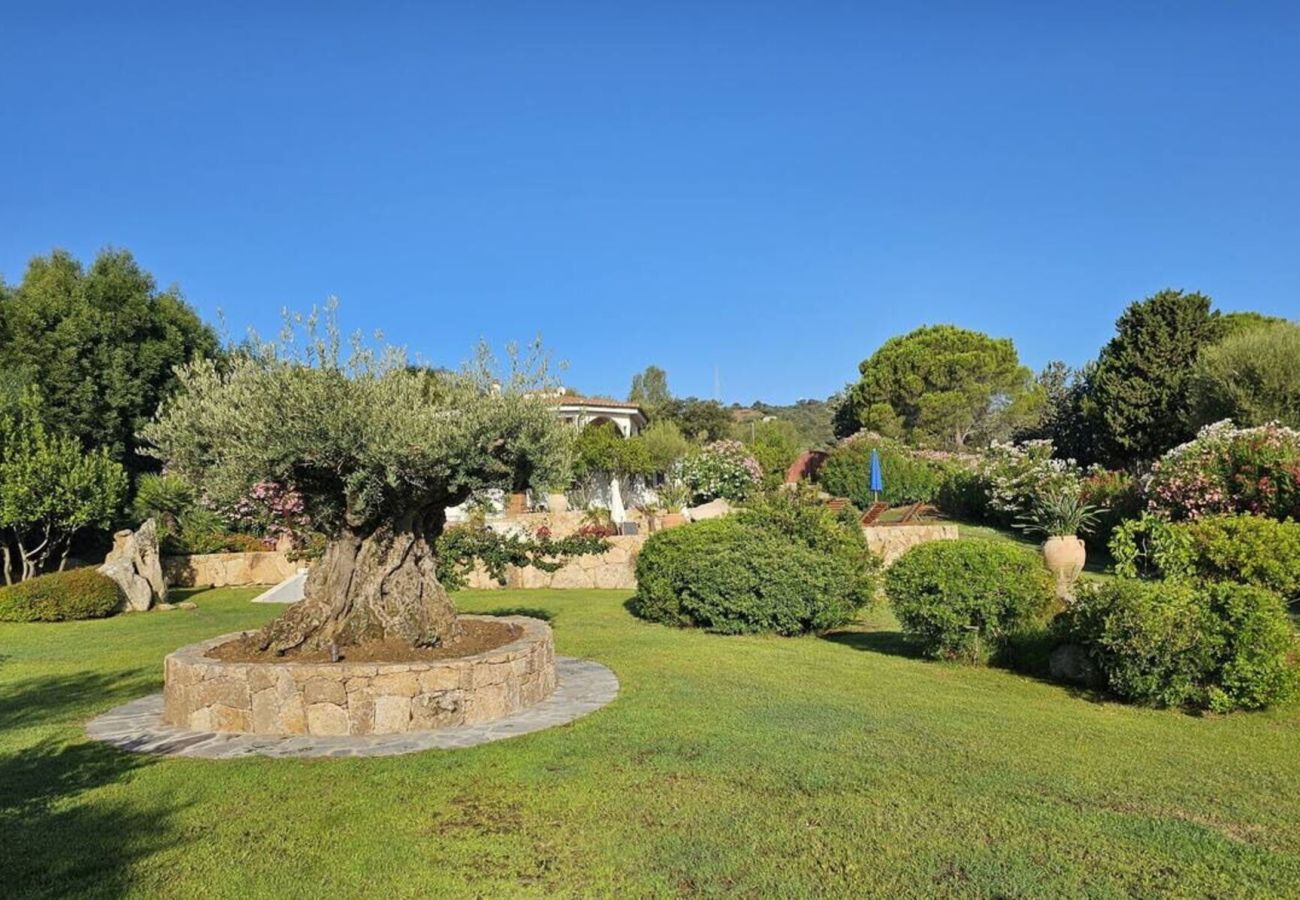 Villa a San Teodoro - Villa Luna Rossa