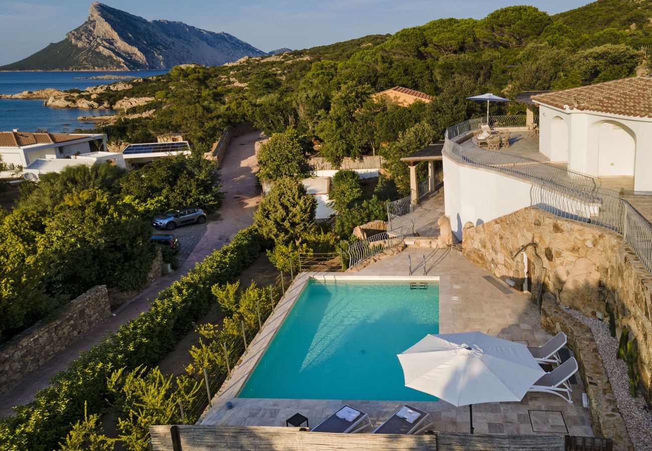 Villa a San Teodoro - Villa Astrea Blu