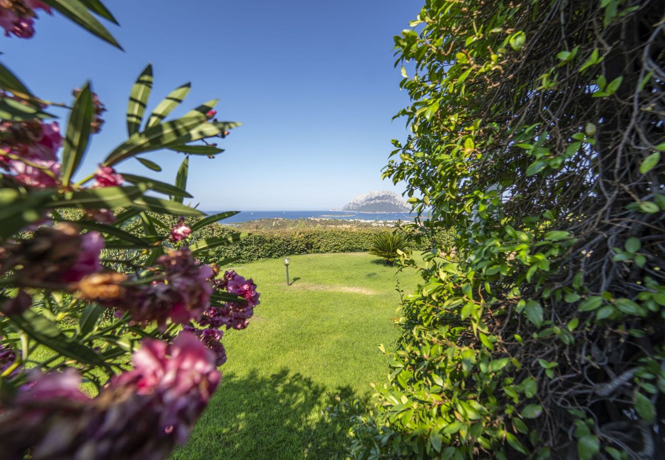 Villa a Porto San Paolo - Villa Panorama