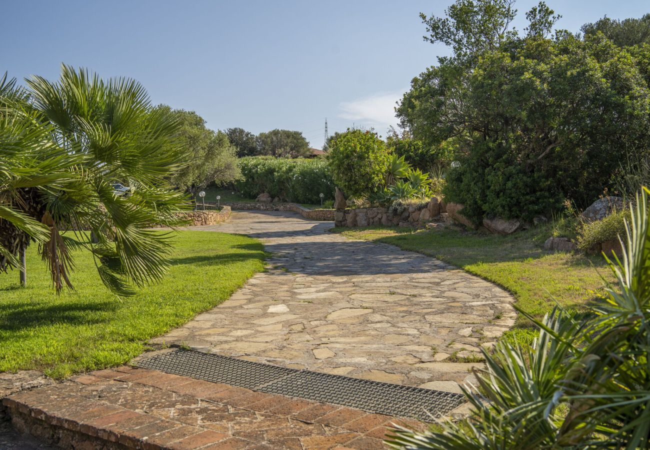 Villa a Porto San Paolo - Villa Panorama