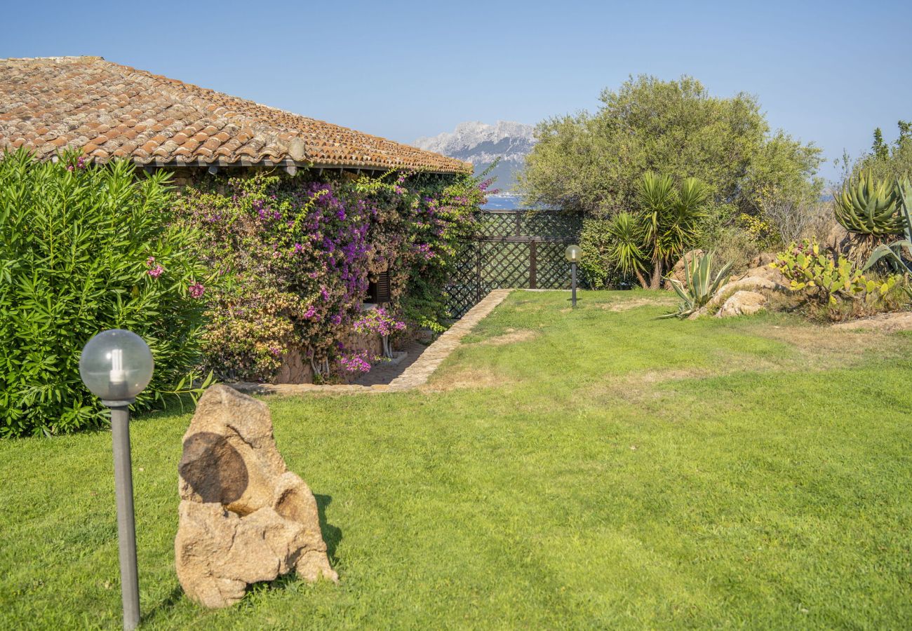 Villa a Porto San Paolo - Villa Panorama