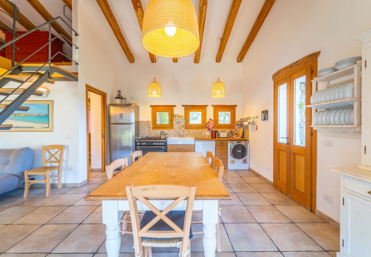 Villa a Olbia - Villa Essenza