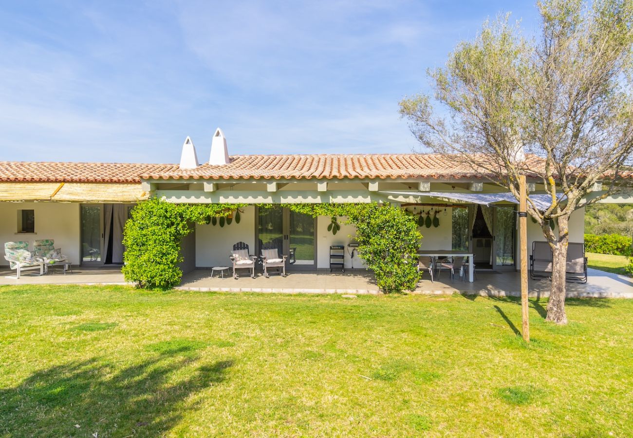 Villa a Olbia - Villa Essenza