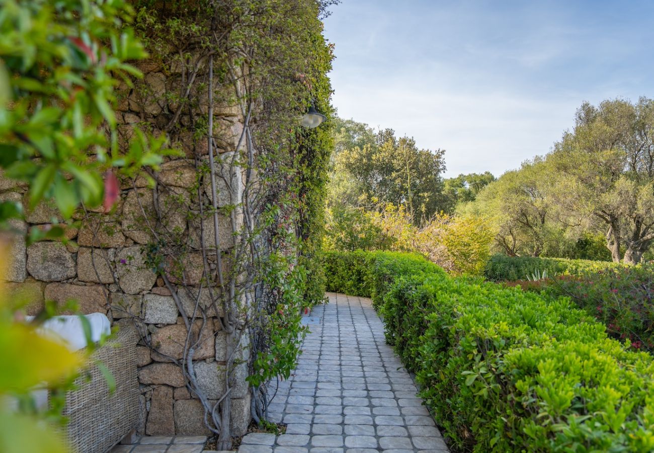 Villa a Olbia - Villa Essenza