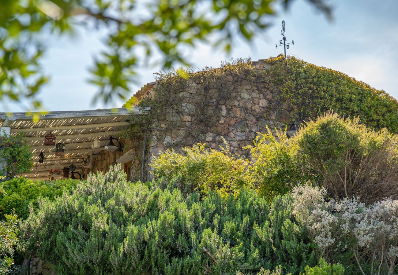 Villa a Olbia - Villa Essenza