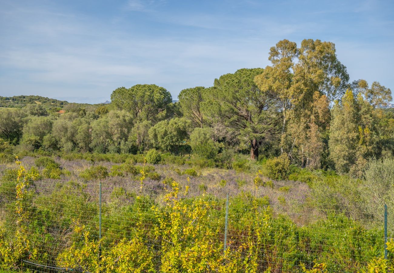 Villa a Olbia - Villa Essenza