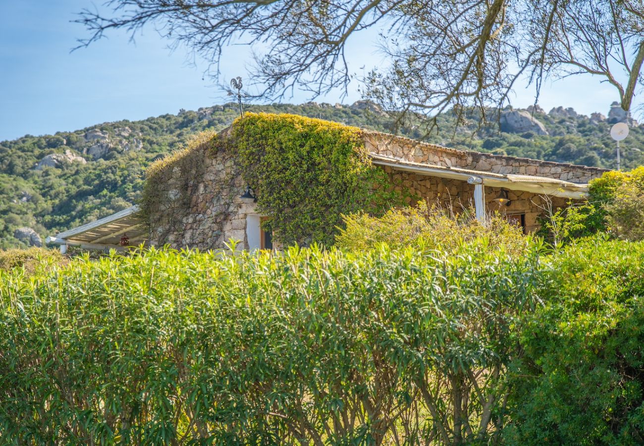 Villa a Olbia - Villa Essenza