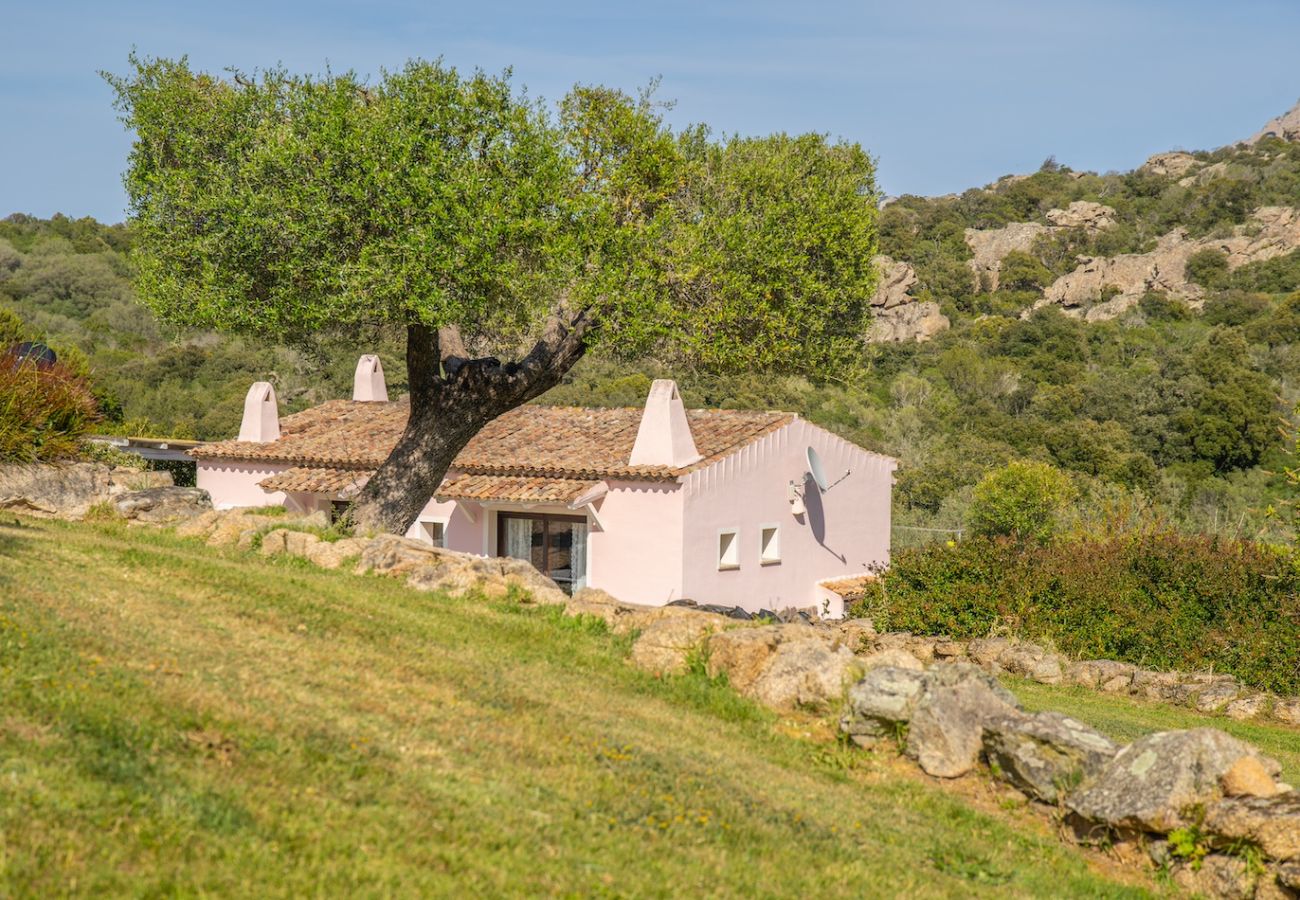 Villa a Olbia - Villa Essenza