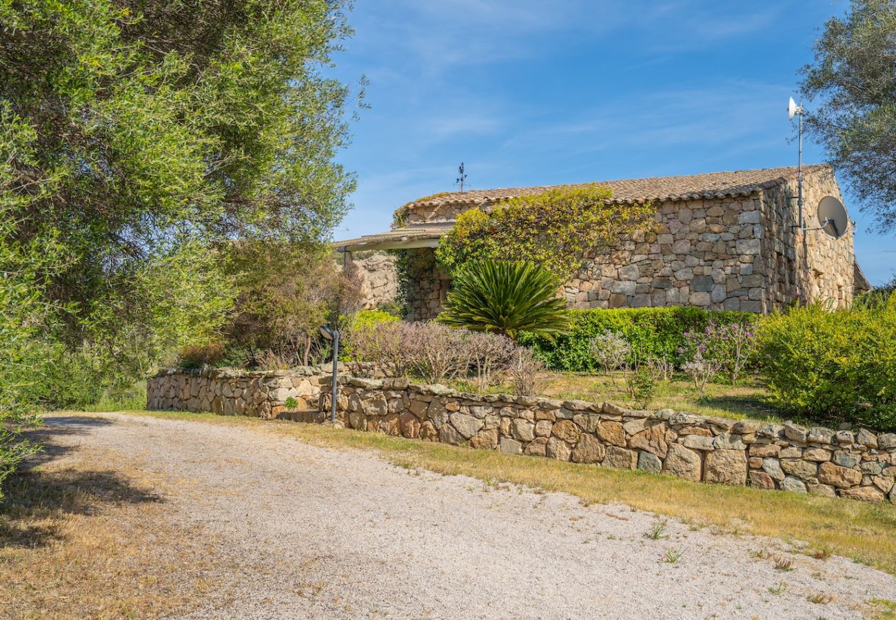Villa a Olbia - Villa Essenza
