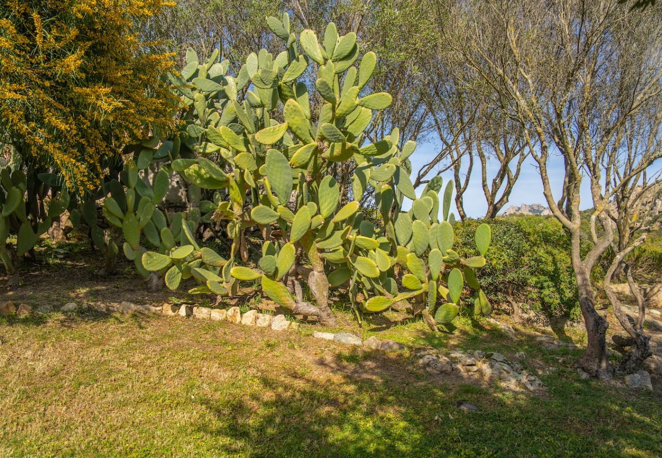 Villa a Olbia - Villa Essenza