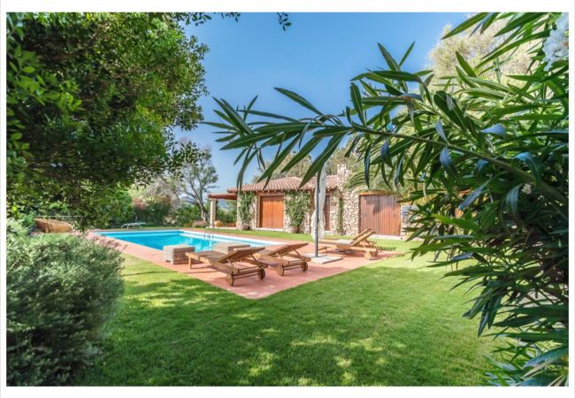 Villa a Olbia - Villa Lalla