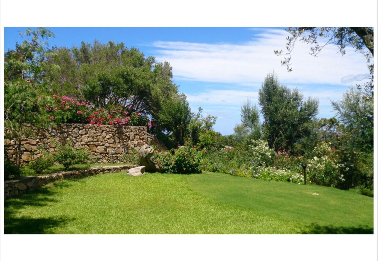 Villa a Olbia - Villa Lalla