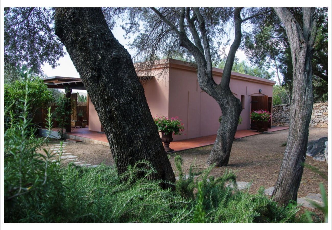 Villa a Olbia - Villa Lalla