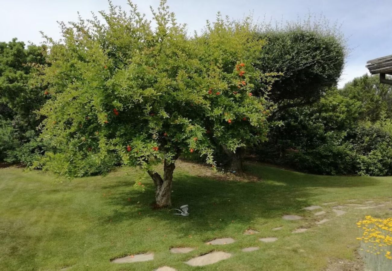 Villa a San Teodoro - Villetta Cala Ginepro