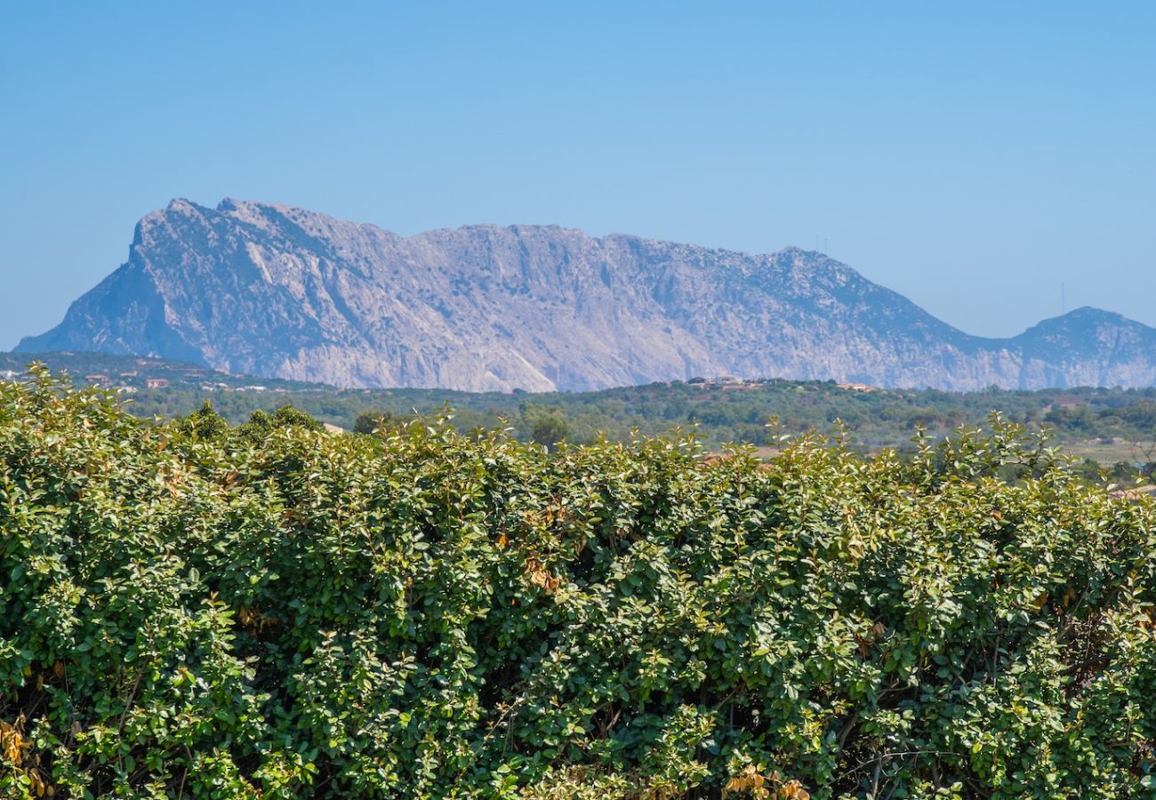 Villa a San Teodoro - Exclusive Villa San Teodoro