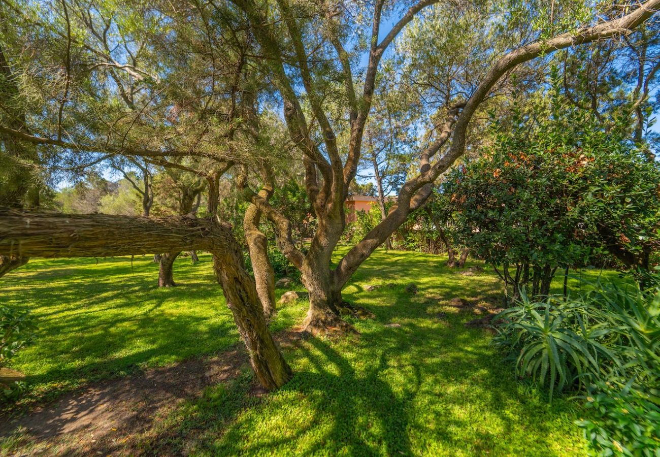 Villa a Porto Rotondo - Villa Tramonto Prestige