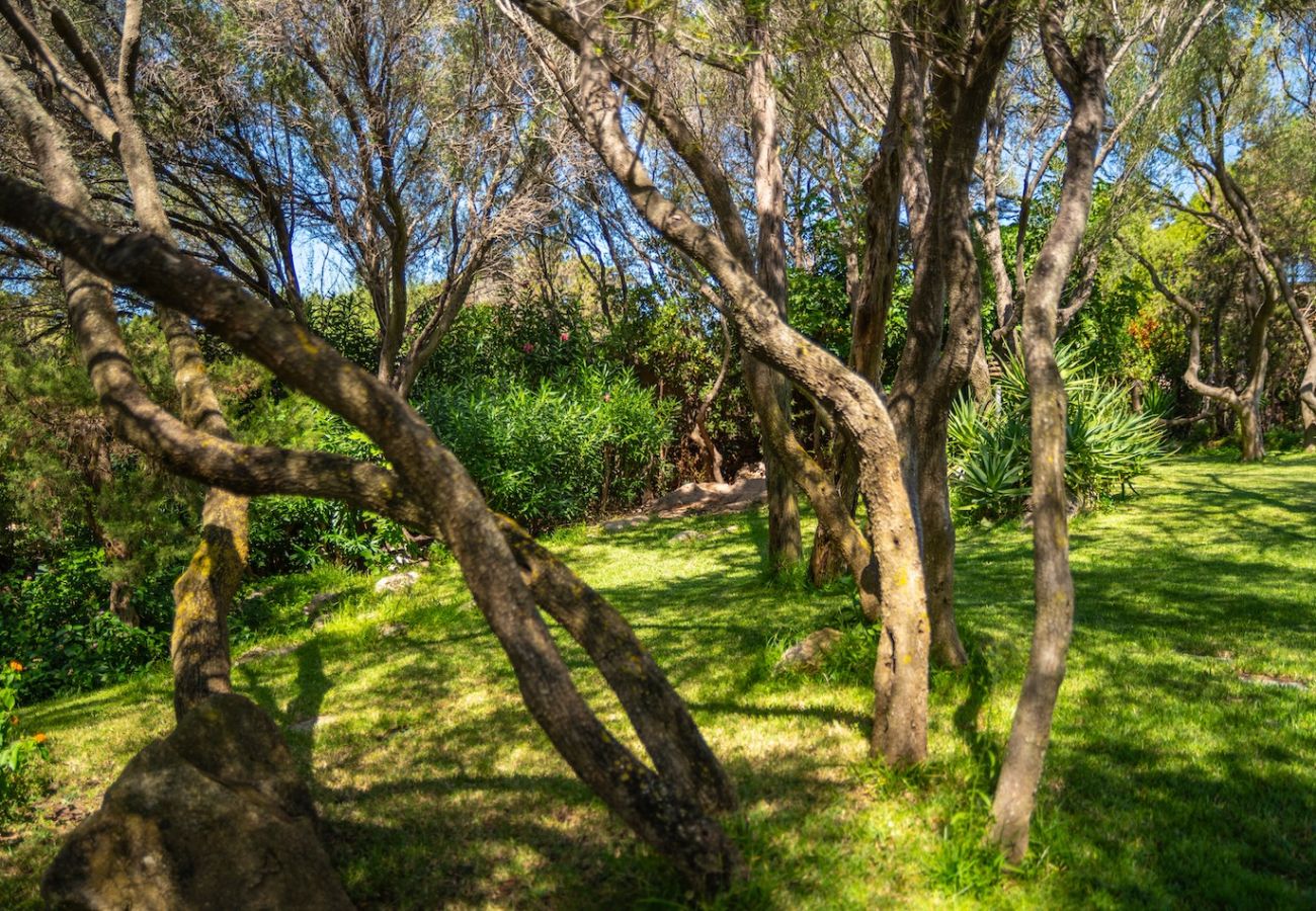 Villa a Porto Rotondo - Villa Tramonto Prestige