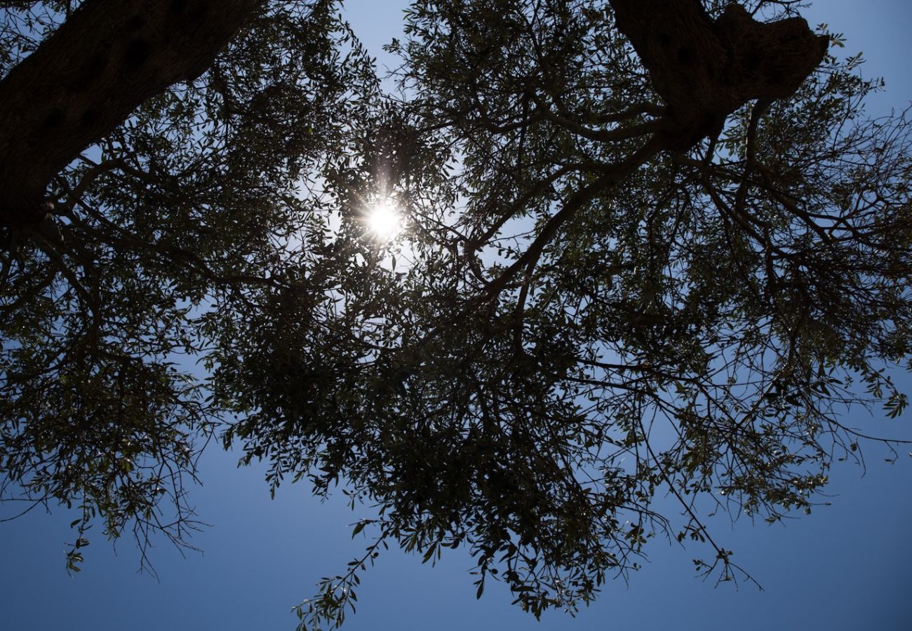 Villa a Baia Sardinia - Villa Bomboniera