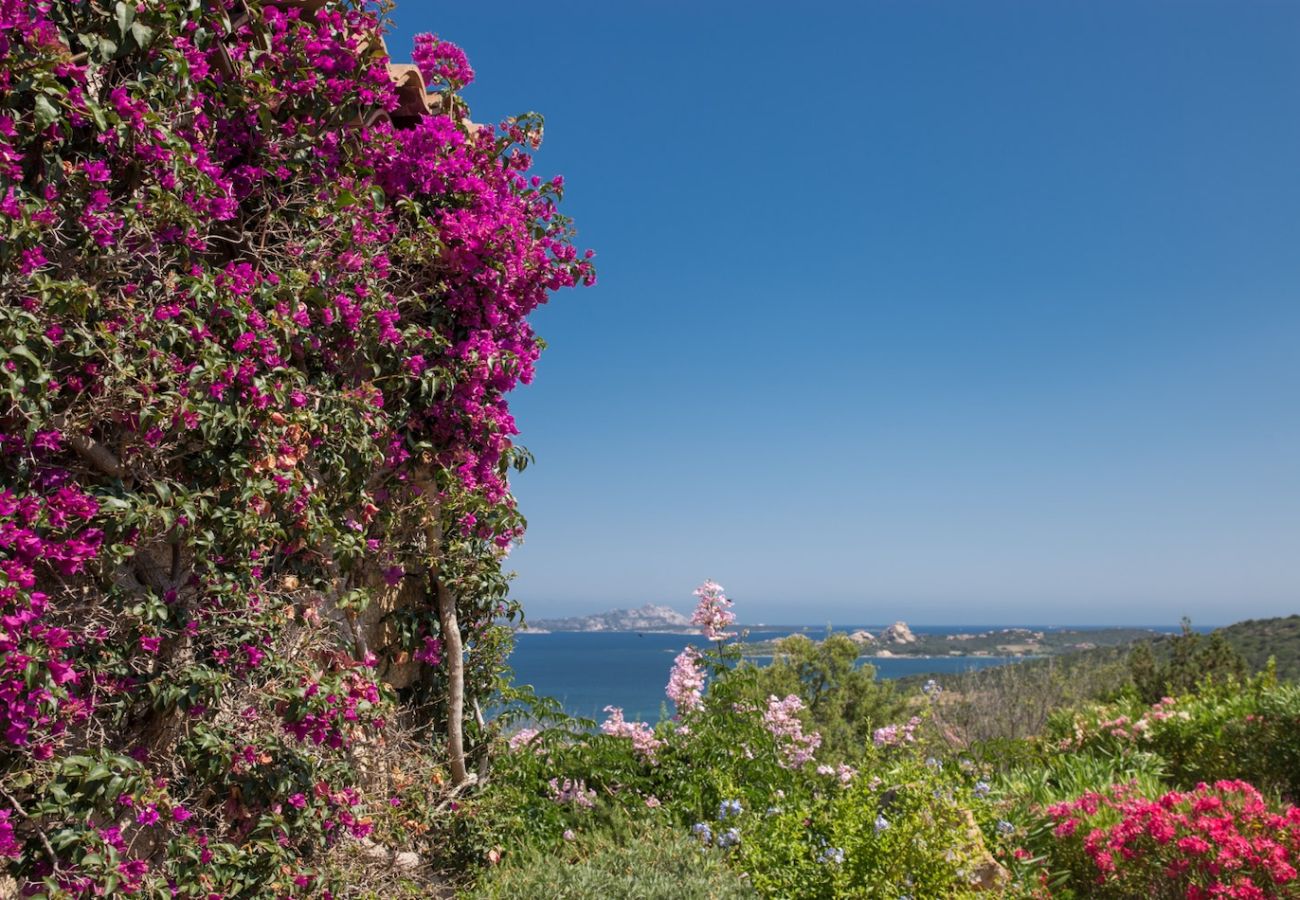 Villa a Baia Sardinia - Villa Bomboniera