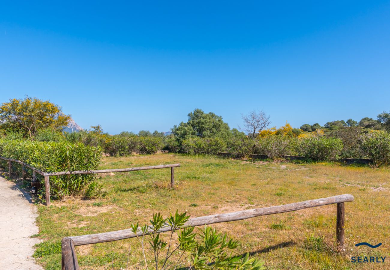 Casa a schiera a Olbia - Casa Corallina
