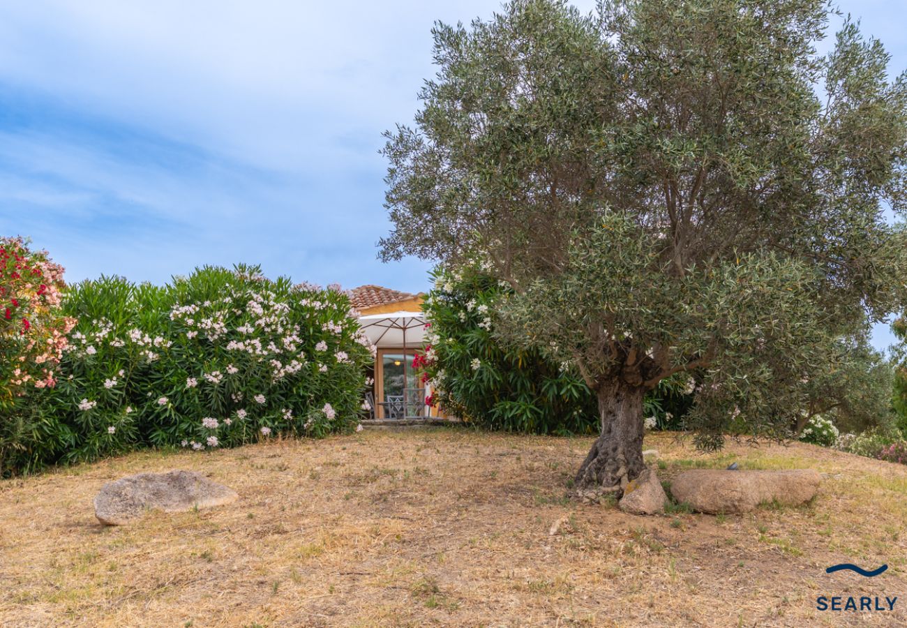 Villa a Cannigione - Esclusiva proprietà con piscina zona Cannigione