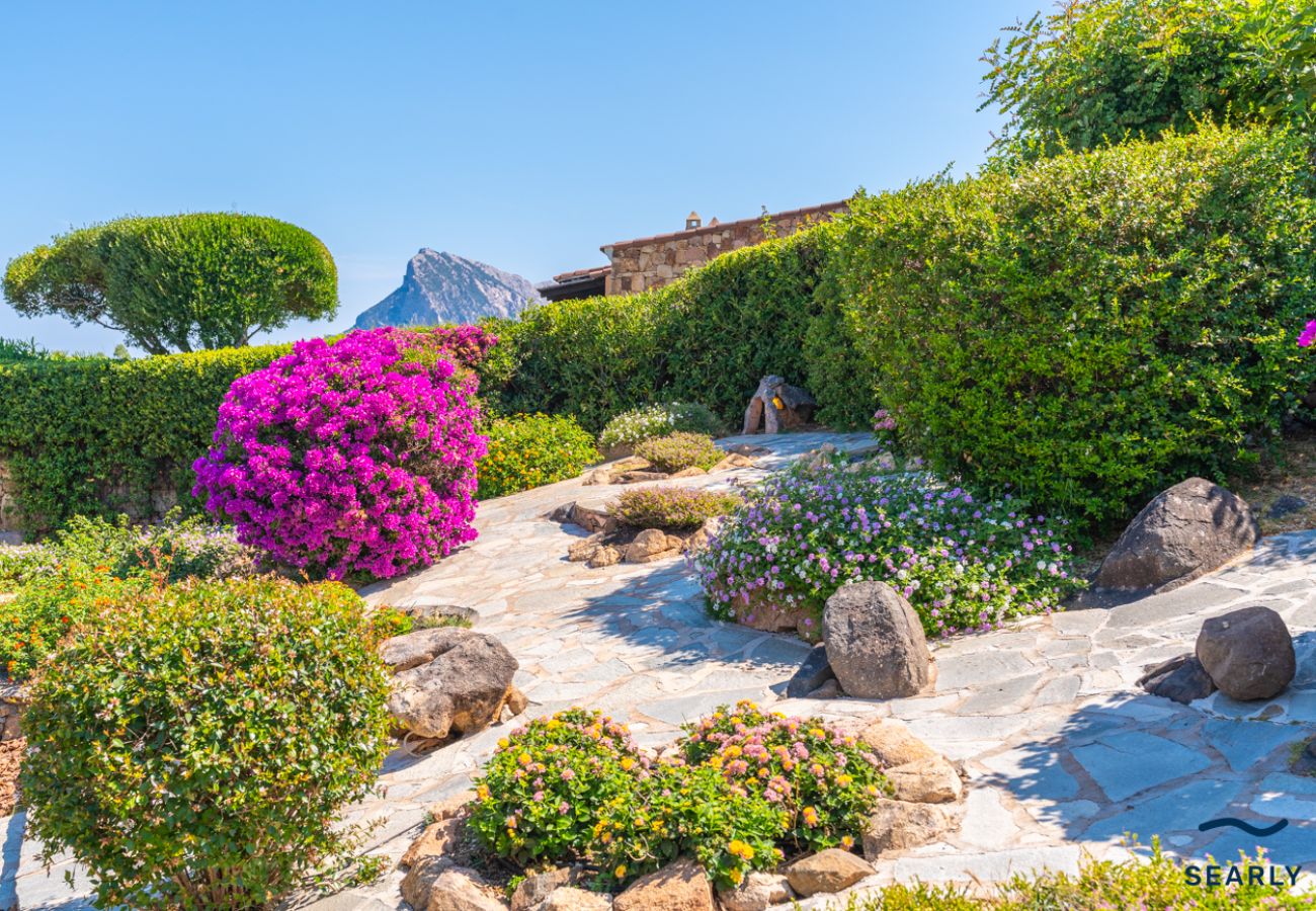 Villetta a San Teodoro - Casa Paradiso