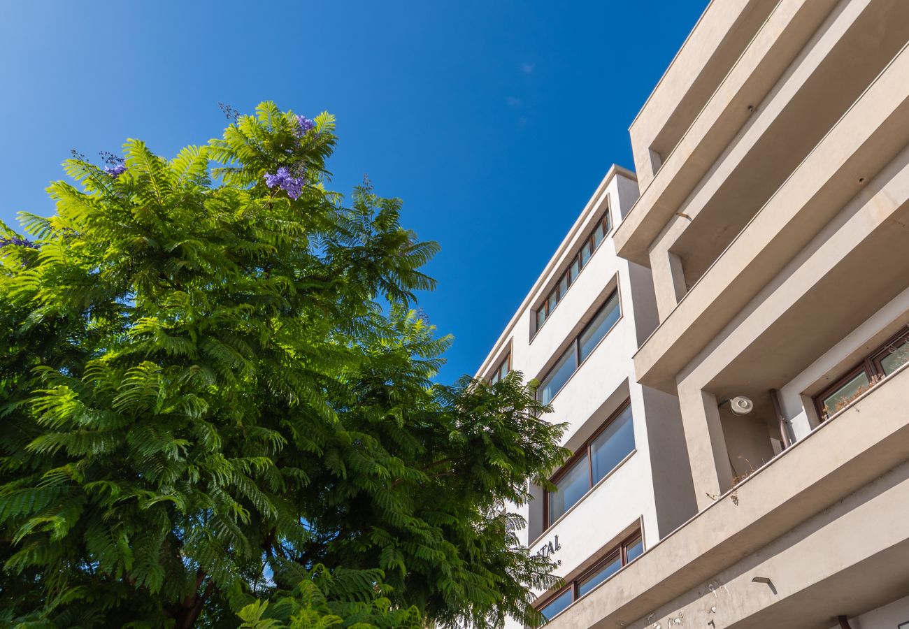 Appartamento a Olbia - Sea View Escape Waterfront Apartment Olbia