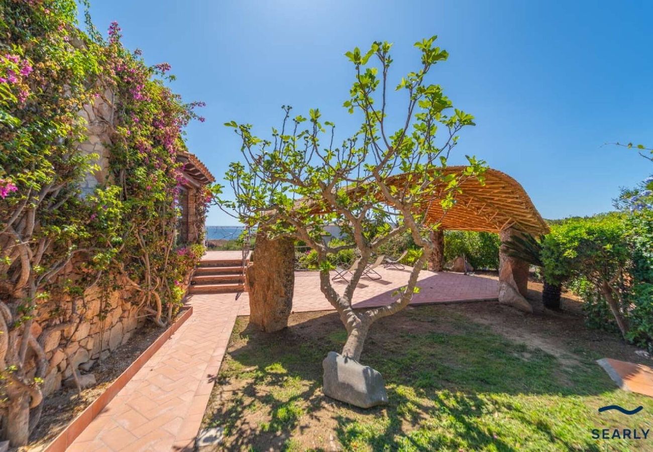 Villa in San Teodoro - Villa Piperita - By Searly 