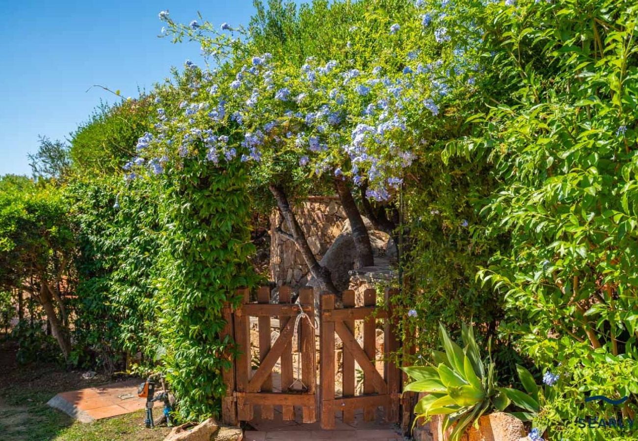 Villa in San Teodoro - Villa Piperita - By Searly 