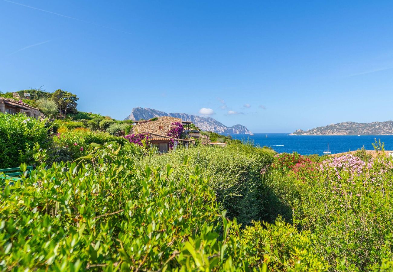 Villa in San Teodoro - Villa Piperita - By Searly 