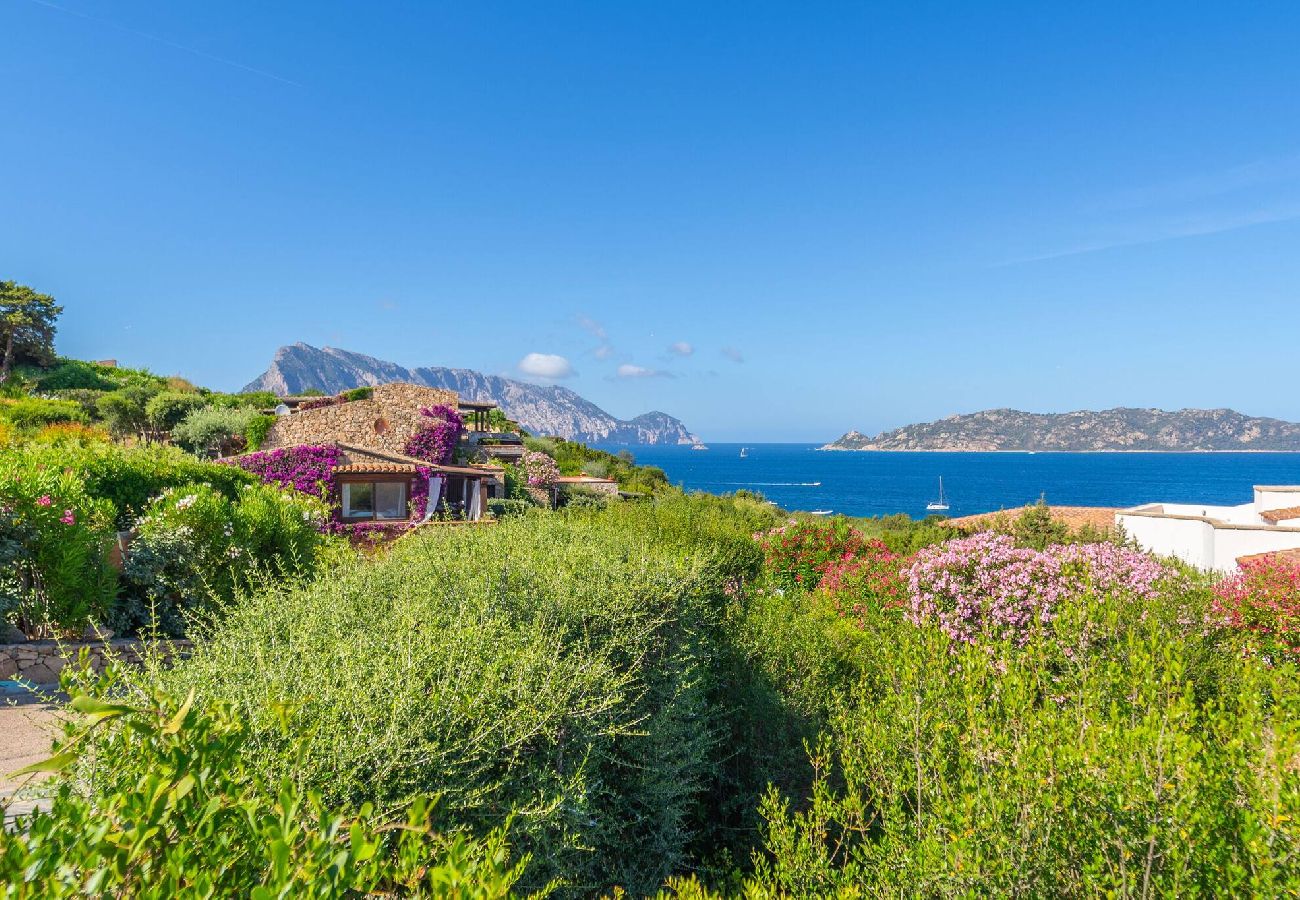 Villa in San Teodoro - Villa Piperita - By Searly 