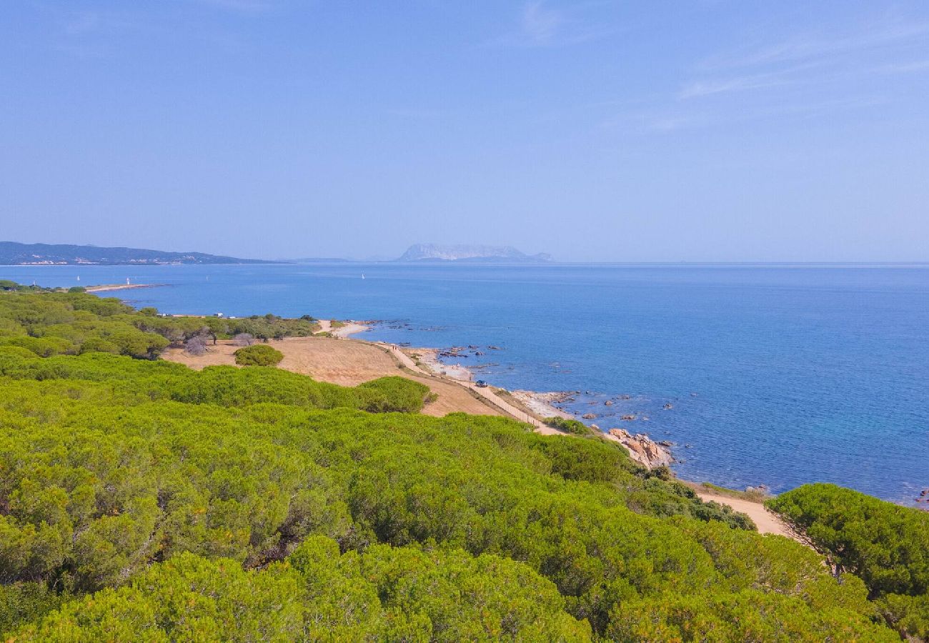 Villa in Baia Sant'Anna - Villetta Bianchi - By Searly - Villetta Bianchi - 